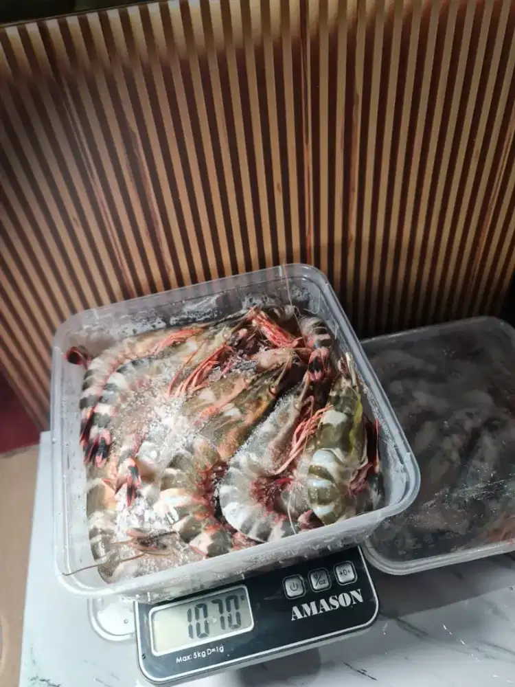 Udang Tiger/Windu 1kg Frozen