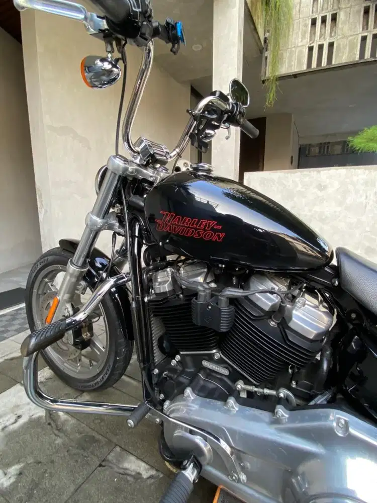 Harley Davidson FXST Softail Standar 2023