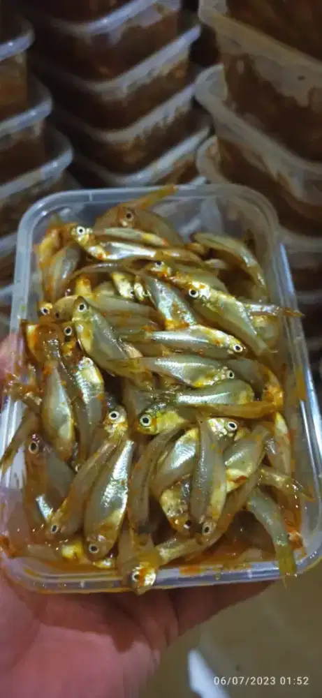 Wader Marinasi 500grm Frozen