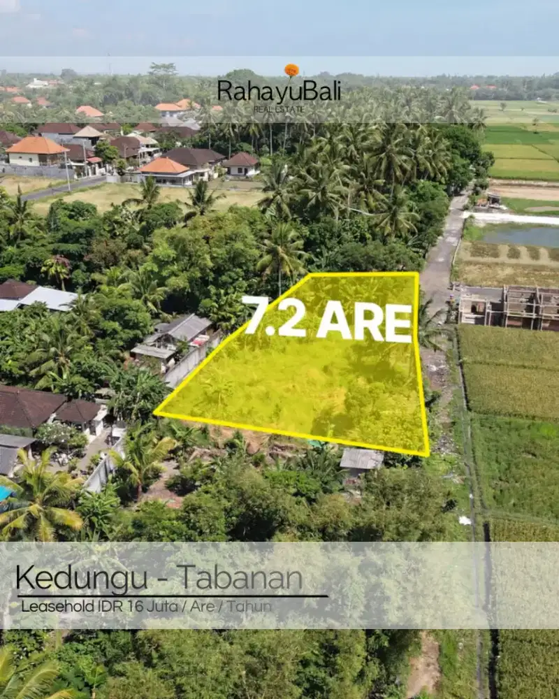 Leasehold Premium land in Tabanan