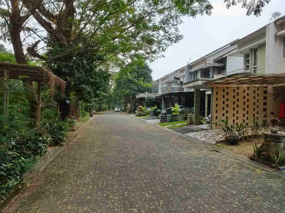 Rumah Renovasi View Sungai Harga Menarik Delatinos BSD city