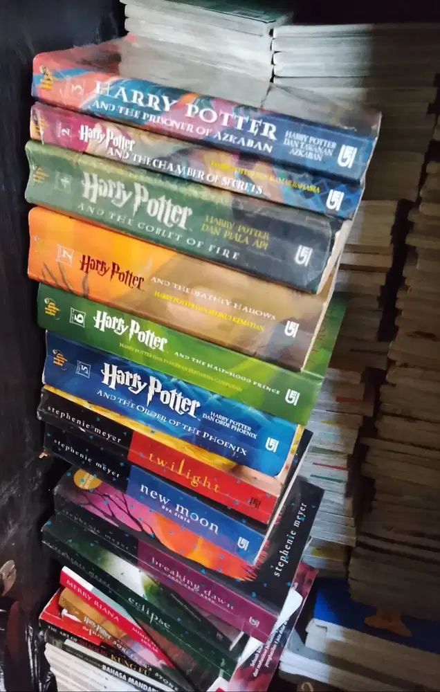 Harry Potter all magic book