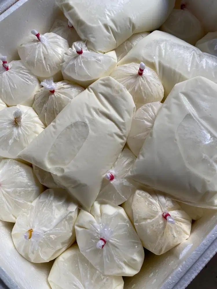 Jual susu sapi asli