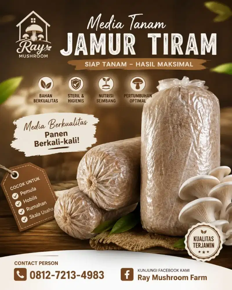 Bibit jamur tiram