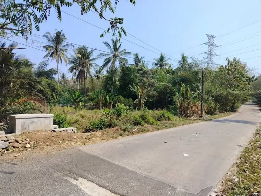 DIJUAL TANAH PINGGIR JALAN RAYA PROVINSI – ANYER, SERANG