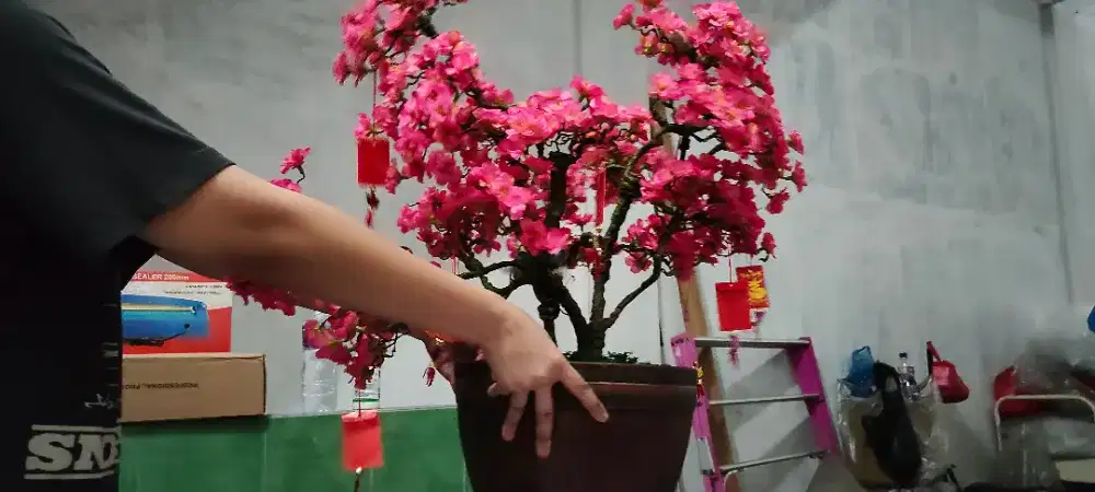Pohon Imlek Bunga Sakura Merah