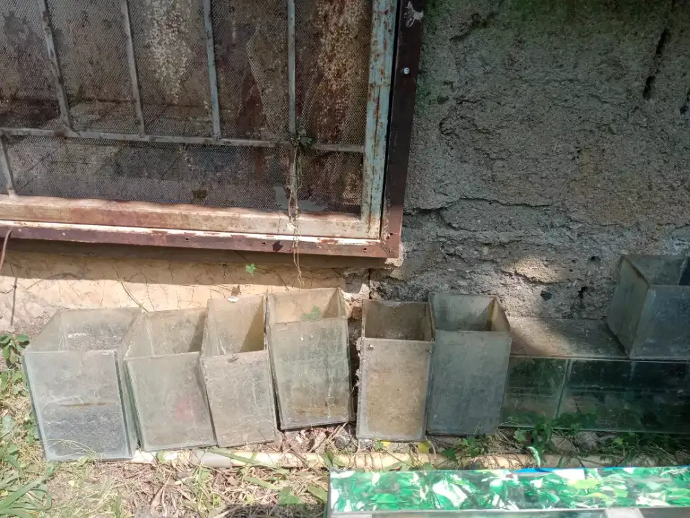Aquarium ikan hias