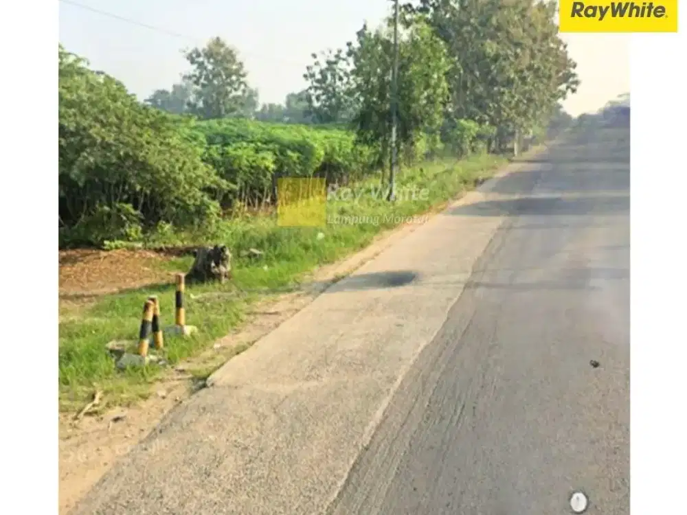 DIjual Tanah DI gunung sugih, Lampung Tengah (Kode Ai 3682)