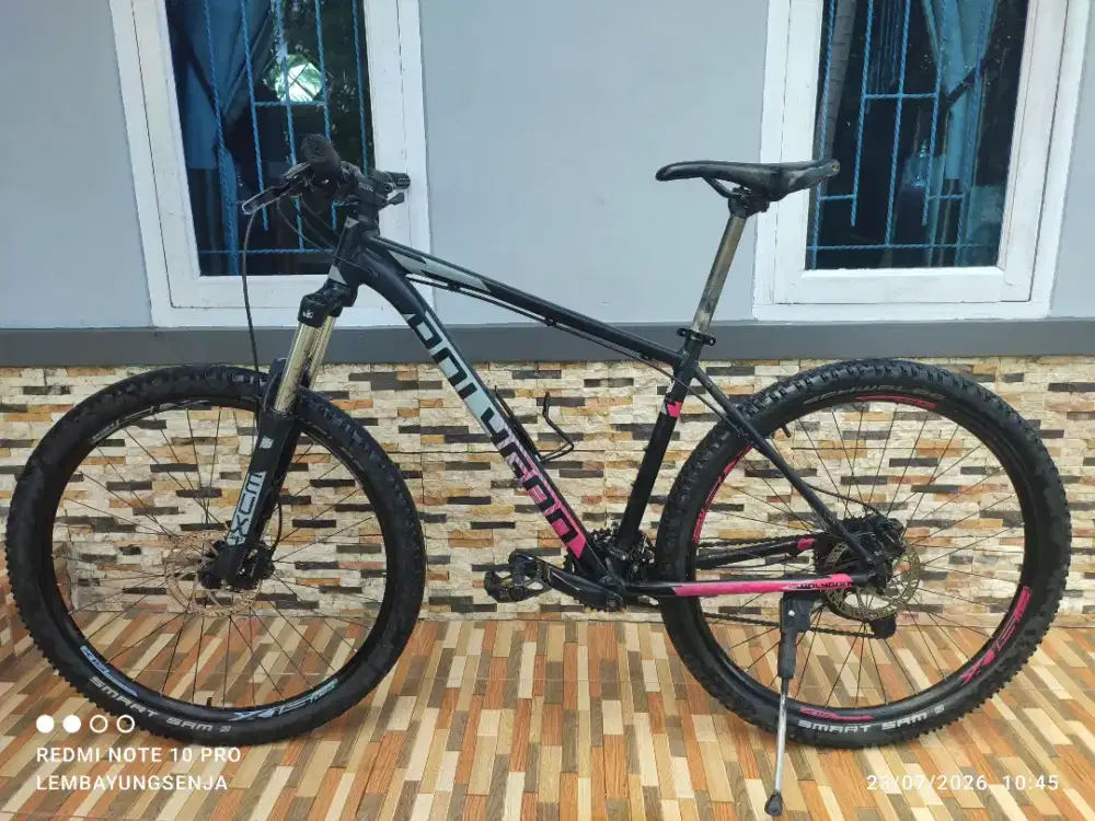 Sepeda Polygon Premier 5
