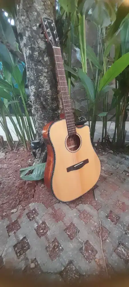Ladybird Acoustic Electric Guitar LDC-2