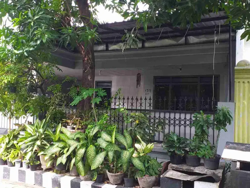 ‼Rumah Rungkut Murah Dekat Kampus UPN‼