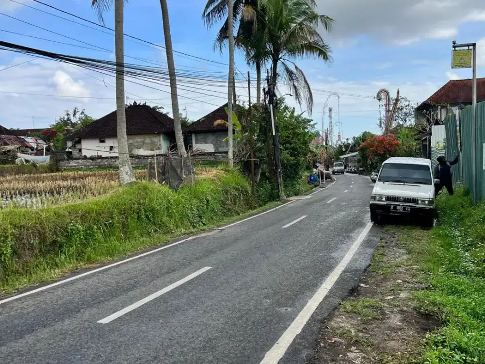 TANAH DI JL UTAWA SUWETA UBUD AREA KOMPLEK VILLA DEKAT CENTRAL UBUD