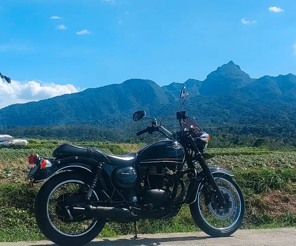 Kawasaki estrella