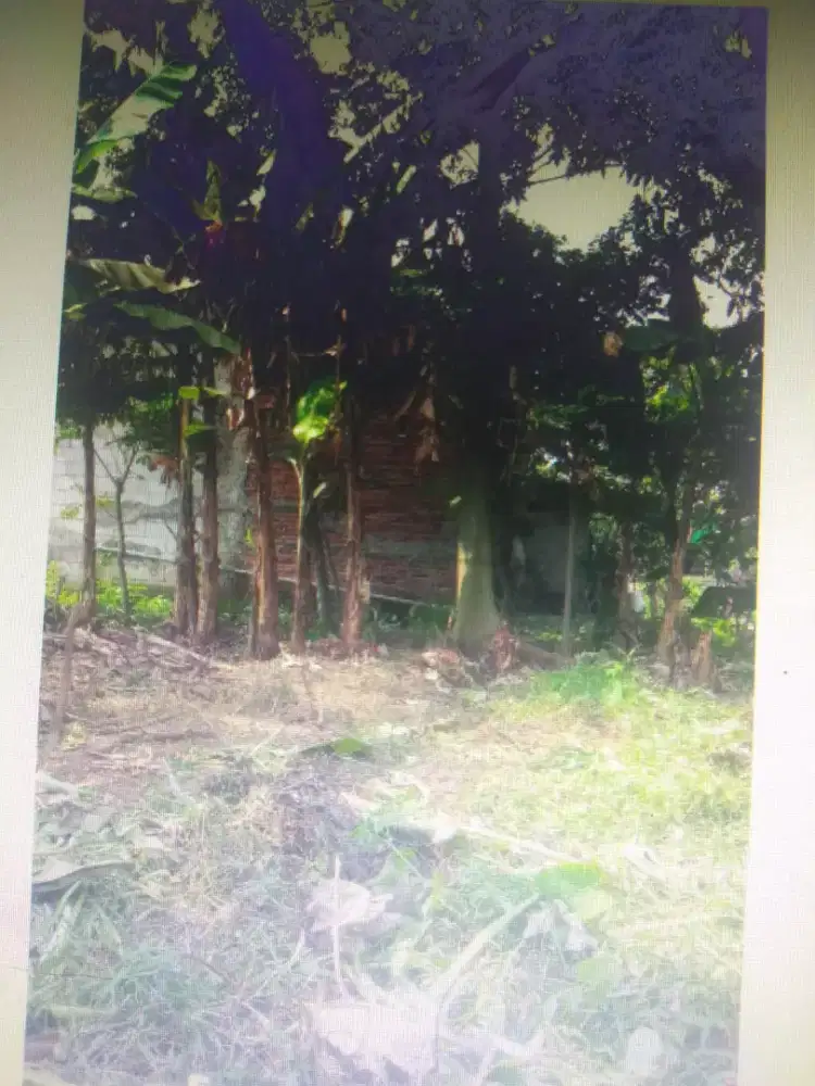 Di jual tanah cepat