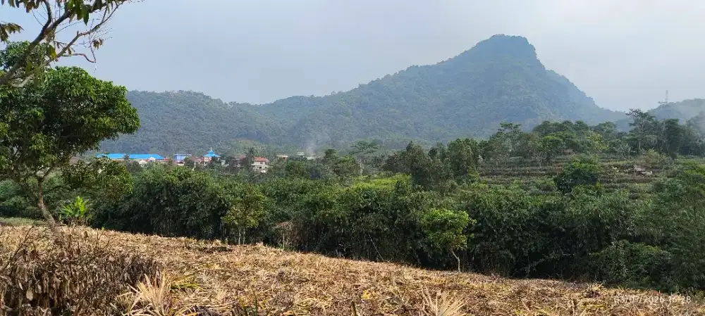 KEBUN SUBUR VIEW BUKIT