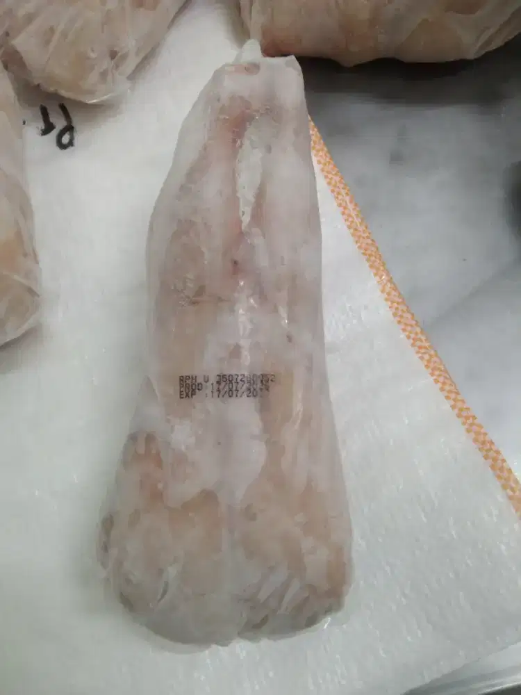 Ayam frozen dan fresh