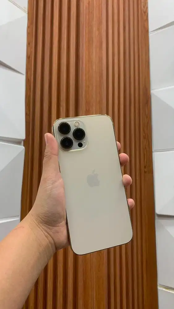 Second Iphone 13 Promax 256gb ex ibox