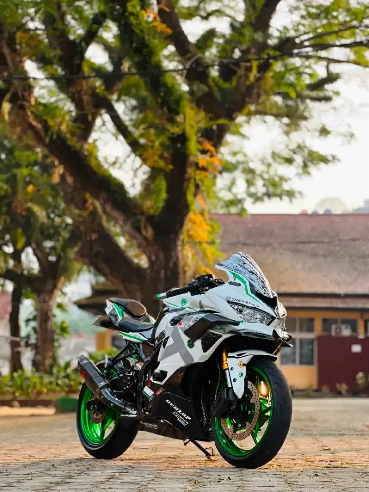 Kawasaki ZX 25R