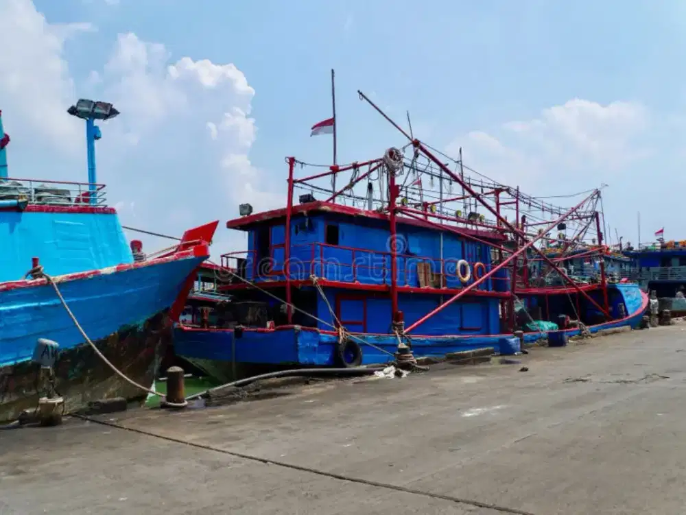 Job kapal ikan dan cumi