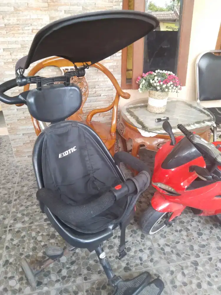 Stoler anak merk exotic