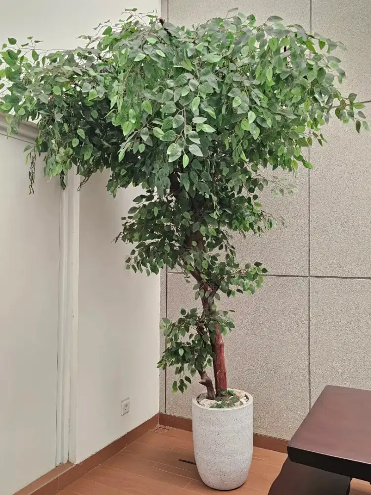 Pohon Beringin Artificial