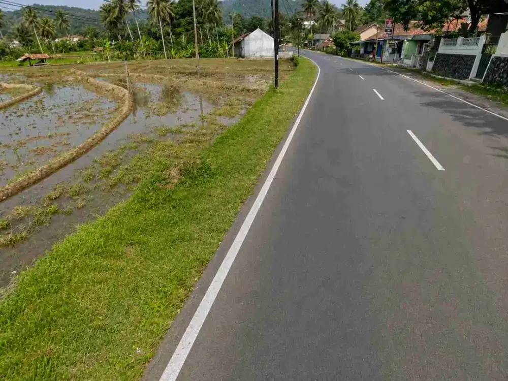 Dijual Sawah 4.995 m2 pinggir Jl. Raya Subang - Bandung