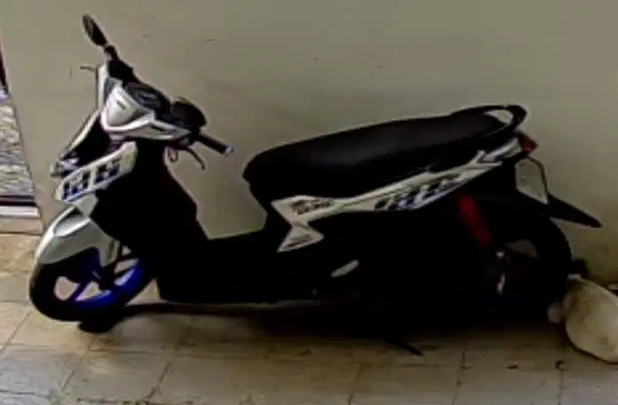 Motor mio gear th2022