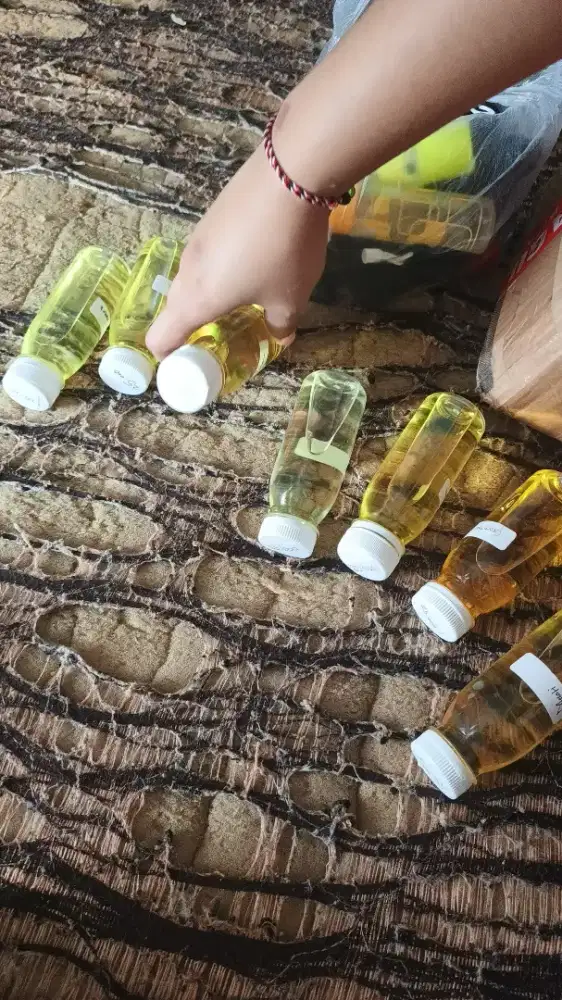 Bibit minyak wangi