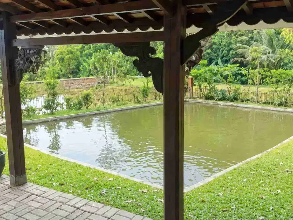Sawah 9100 m2 Beserta kebun & kolam ikan