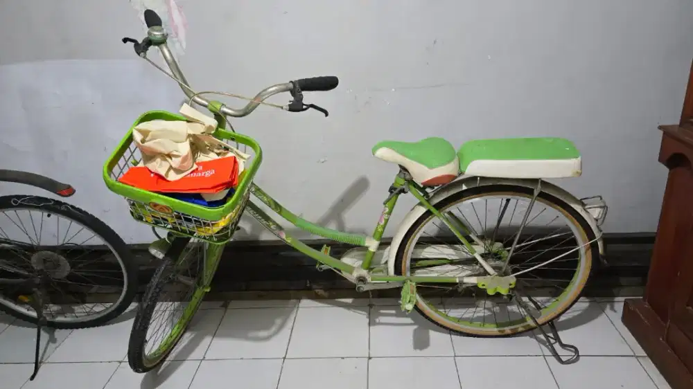 Jual sepeda merk pacipik bekas