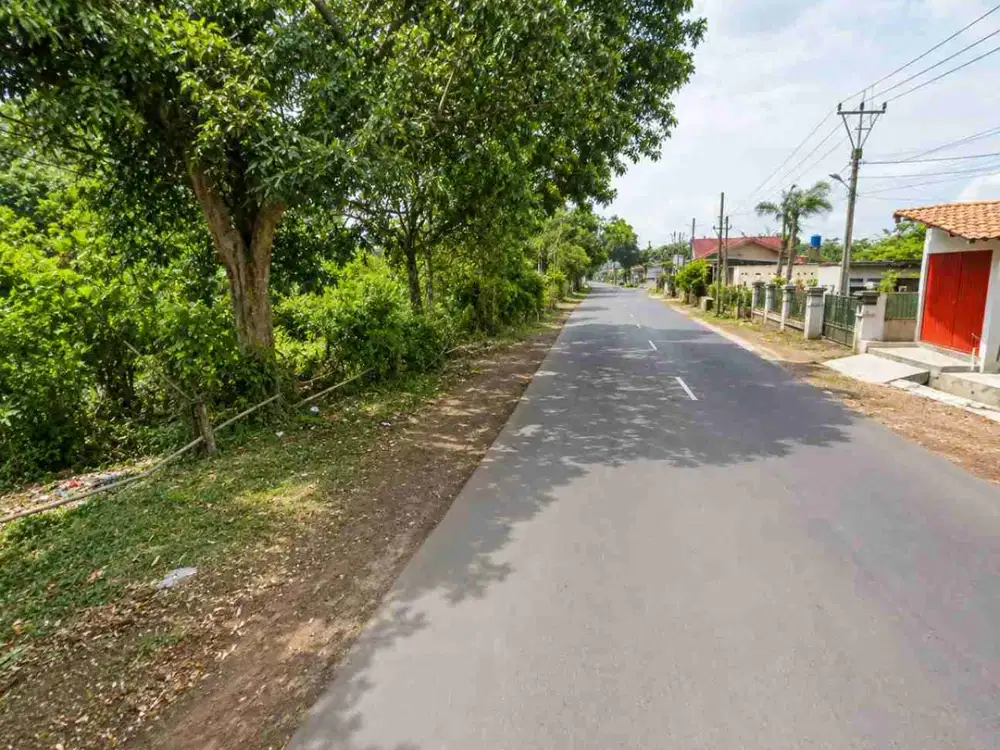 Tanah 1000 m2 Jl. Raya Subang - Pagaden