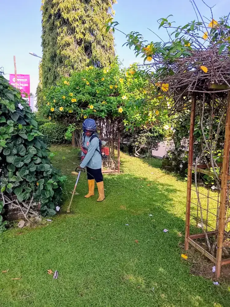 Jasa Potong rumput sleman
