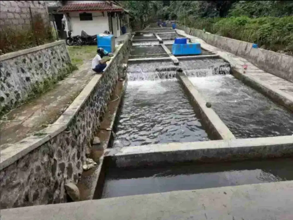 Kolam deras 9 jalur pinggir sungai Tanjung siang Subang