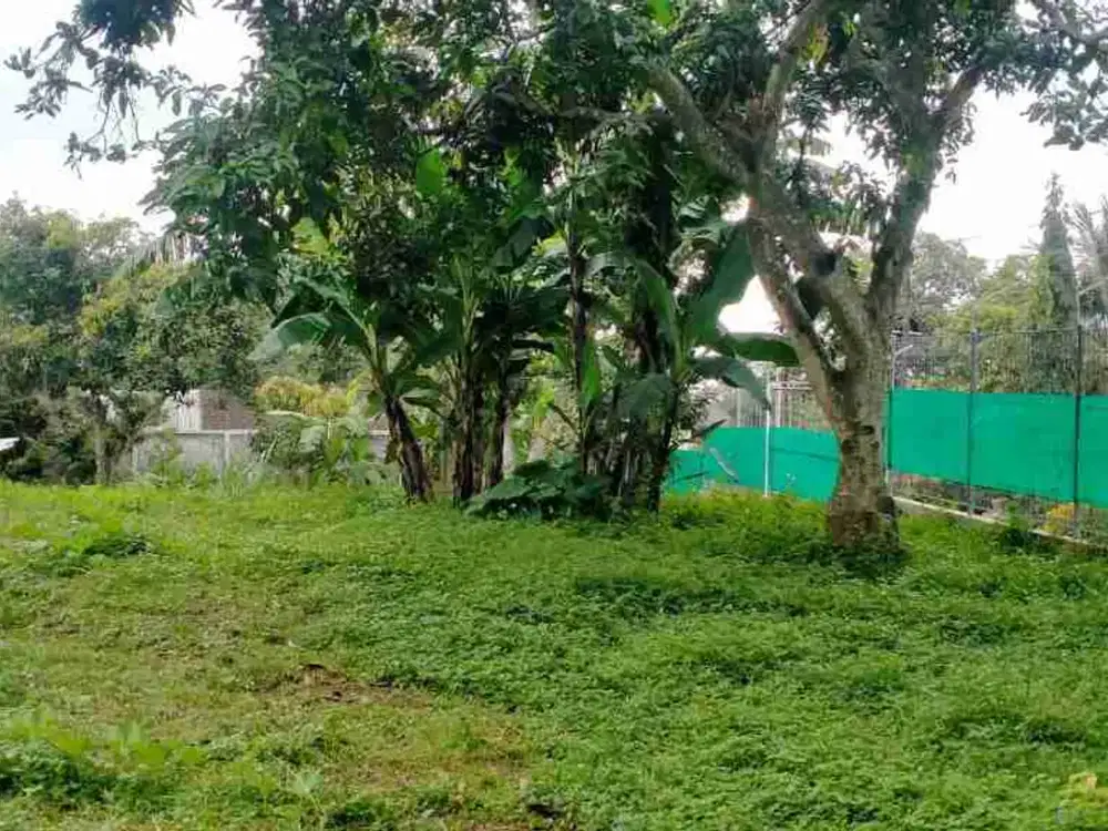 Dijual lahan perkebunan di ngembal Pasuruan