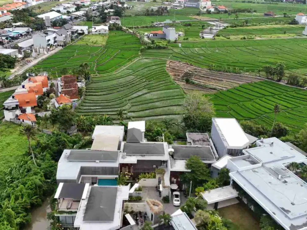 Four Bedroom Villa Ricefield View Pererenan Canggu Bali