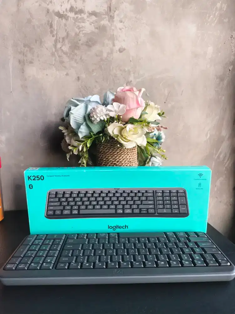 keyboard Logitech K250