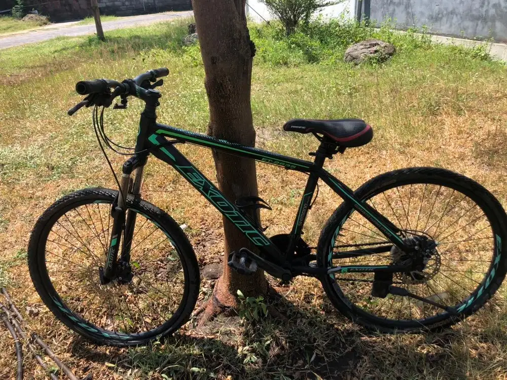 Sepeda dewasa exotic 2635 GX