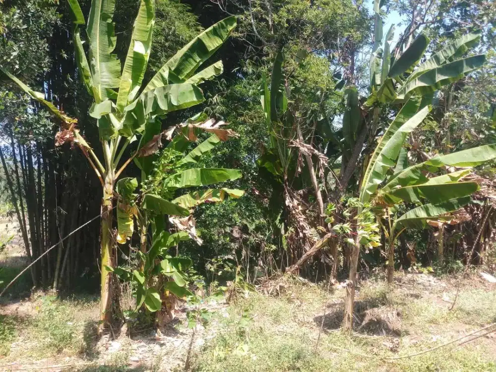 Di Jual Tanah murah di Sumedang dekat terminal Ciakar