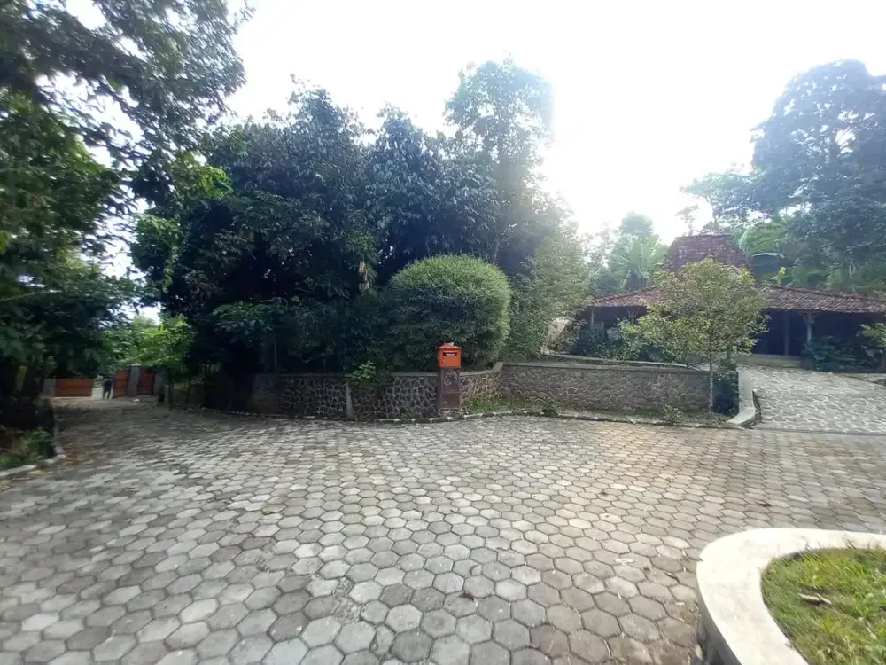 Dijual Cepat Lahan Luas View Gunung Salak - Cocok untuk Villa atau Cafe Alam
