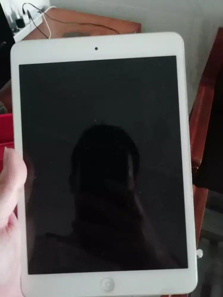 ipad mini 2 wifi only