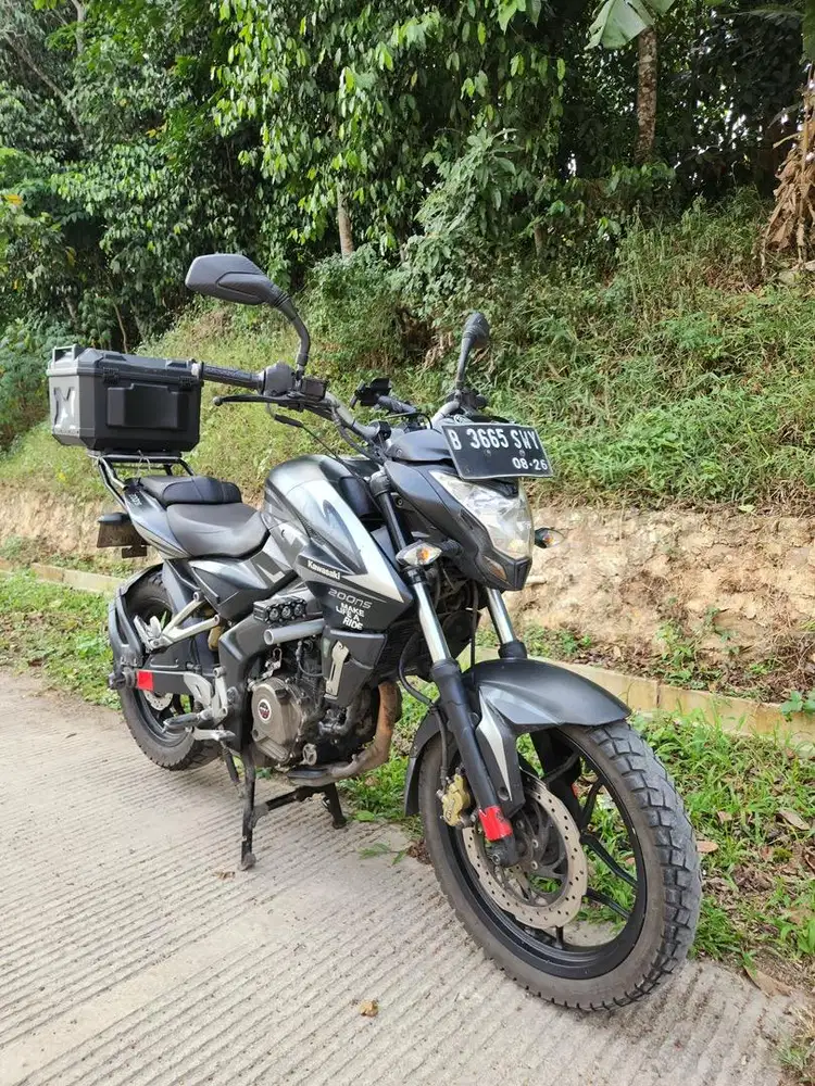 Kawasaki Pulsar 200ns