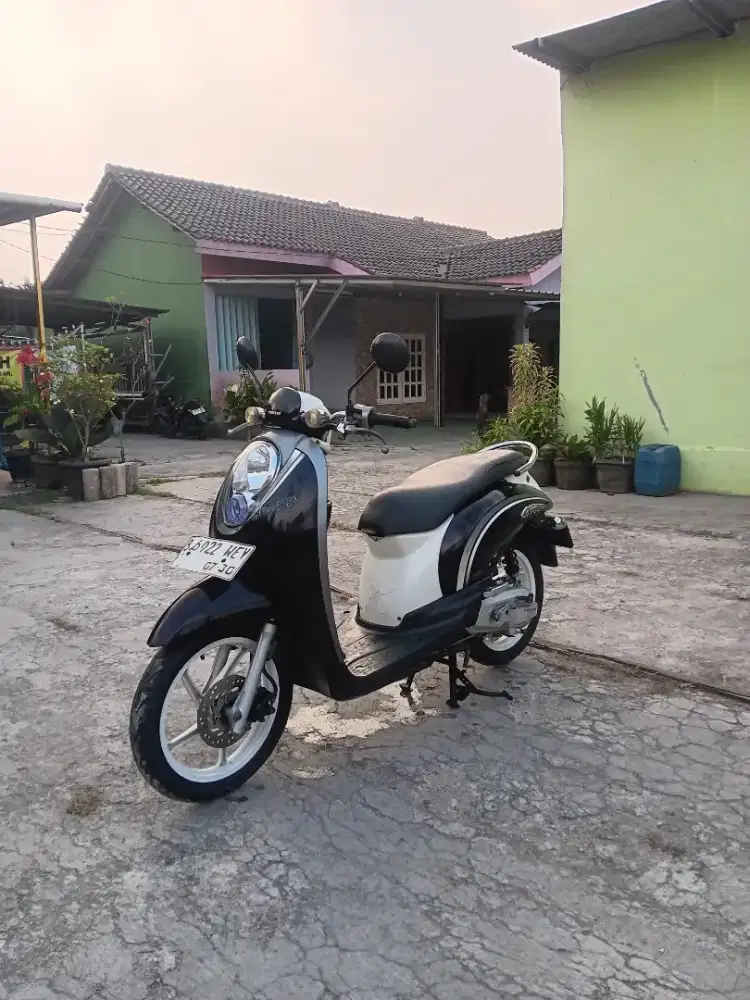 HONDA SCOOPY KARBU