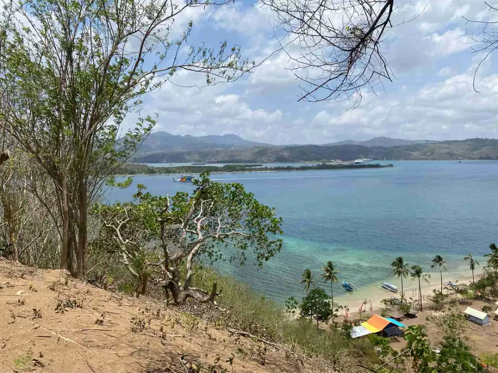 Hill for sale