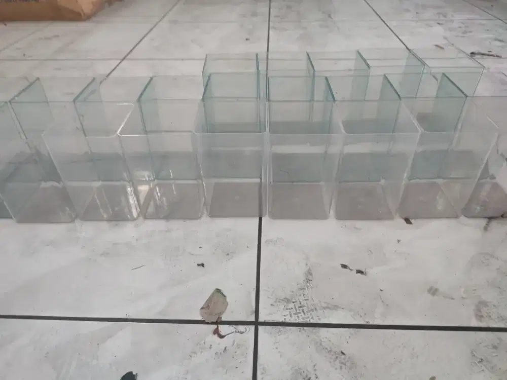Akuarium akrilik untuk ikan cupang
