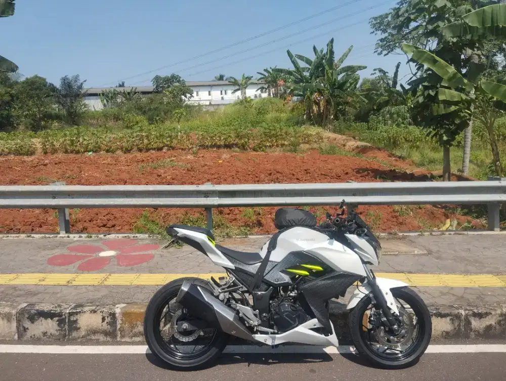 Z 250 pajak on low  km