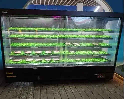 1 UNIT DAHLIA 2080 MULTIDECK OPENED CHILLER