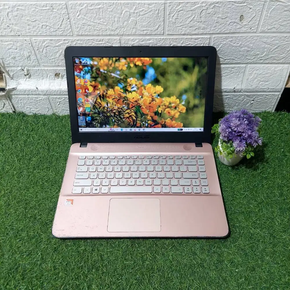 ASUS X441B AMD A4-9125 RAM 4GB SSD 128GB ROSE GOLD