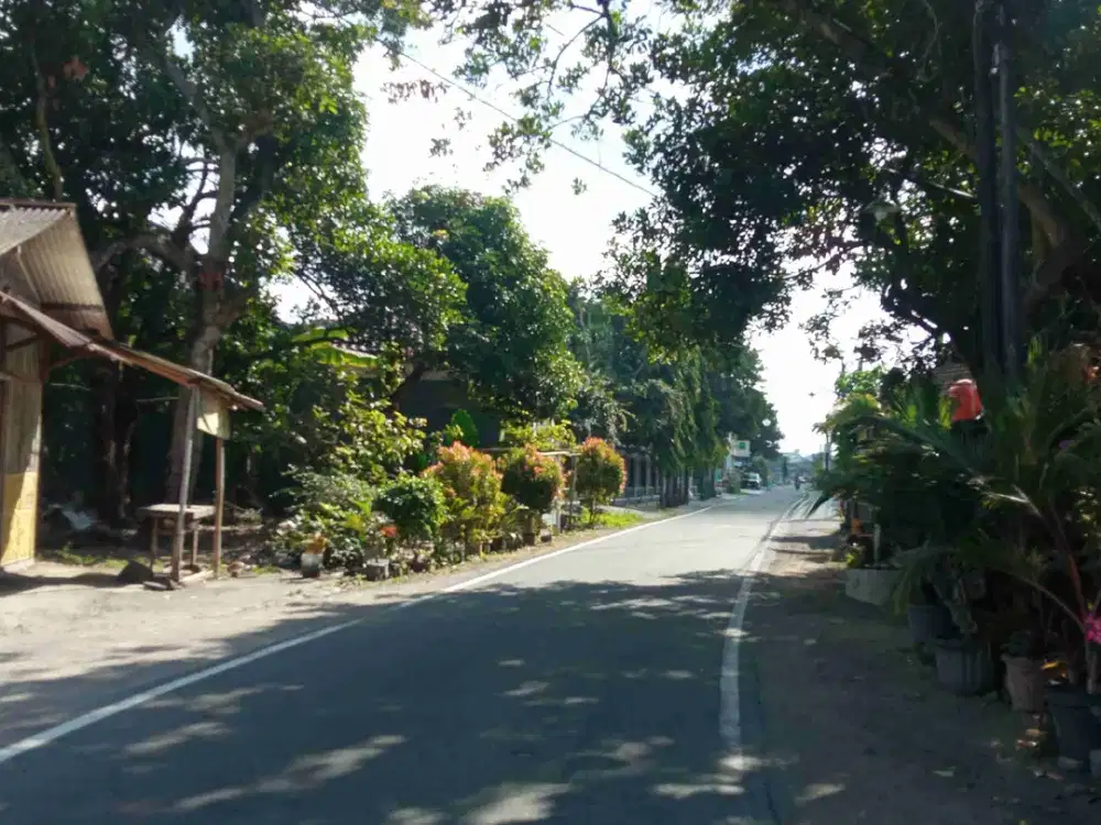 JUAL LAHAN PEKARANGAN 500 AN M DEKAT KAMPUS STIPER RROAD UTARA