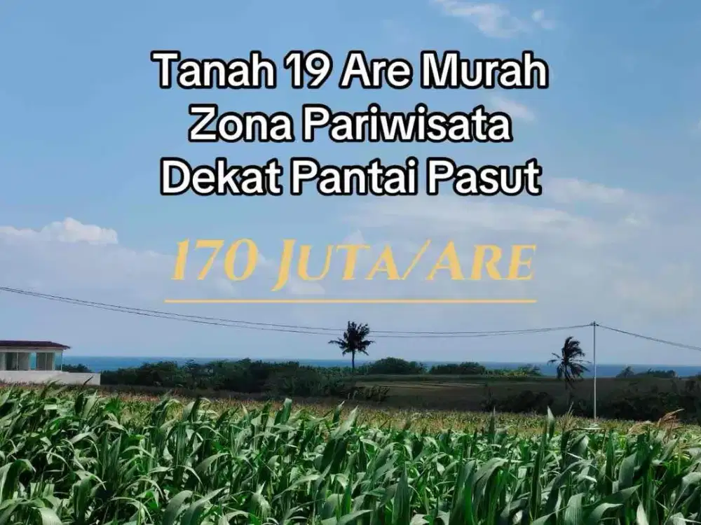 SALE Tanah Zona Pink Dekat Pantai Pasut