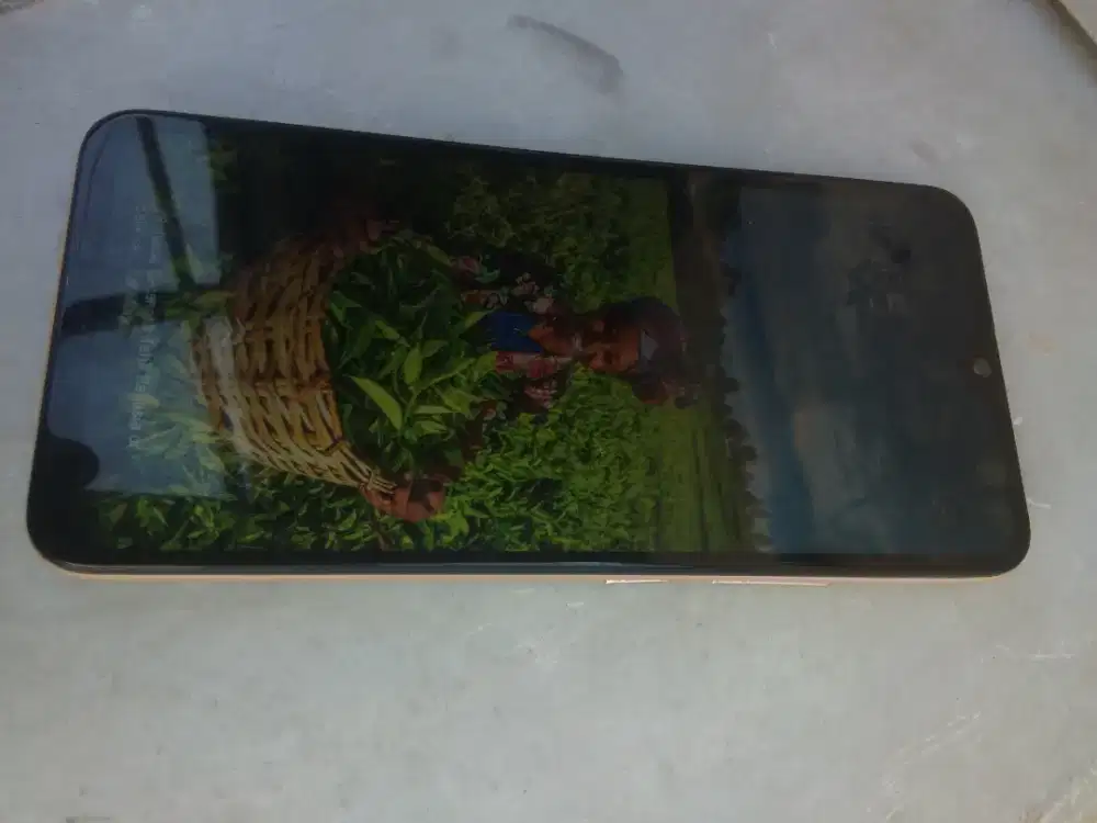 Hp Vivo Y19 6/128 2019 Batangan